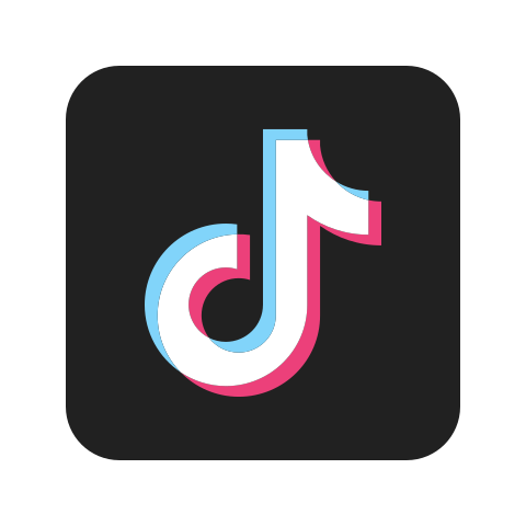 TikTok Post Downloader